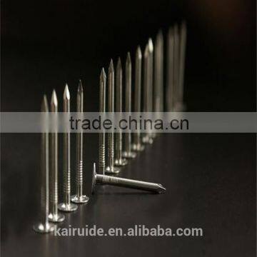 High Quality Factory Produce Stainless Common Iron Round Head Nail/common Iron Nail photo-2
