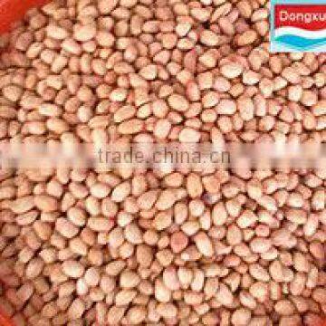 bulk peanut kernels baisha 40/50