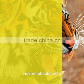 Transparent Transparency and Decorative Film Usage Yellow Insect Prevention Laminating Film photo-5