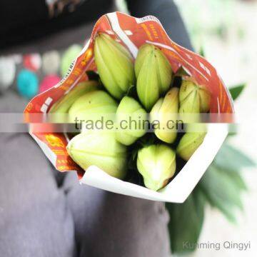 Wholesale Types of Fresh Cut Flowers Diversified in Packaging Crazy Selling Fresh Lily photo-4