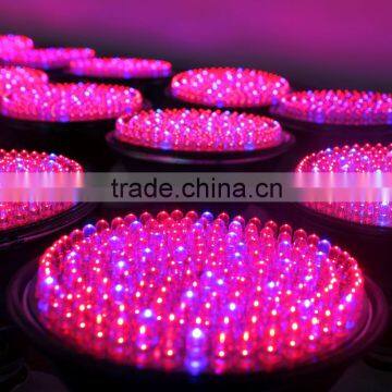 Stylish 8W E27 Lamp Base 139 Red 30 Blue Led Lamp Plant Grow Light AC85-265V High Luminous Efficiency