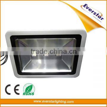 CE RoHS Certified European Market 30W 50W 150W LED Floodlight