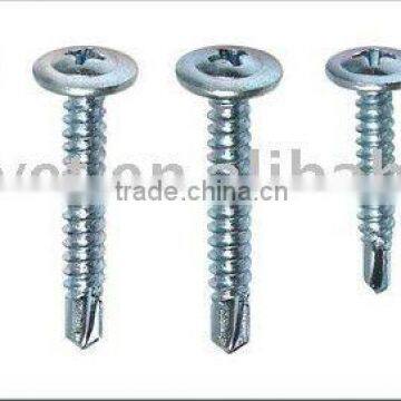 Drilling Screw