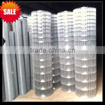 1", 2" Electro Galvanized Welded Mesh