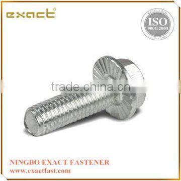 Hex Flange Bolts DIN6921 photo-2