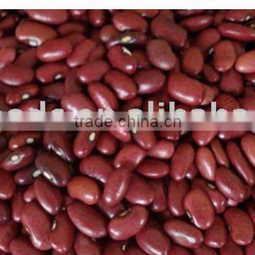 Canada Red Kidney Beans