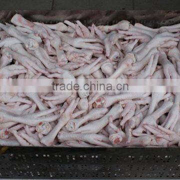 GRADE A BRAZILIAN HALAL FROZEN WHOLE CHICKEN READY FOR EXPORT ANY PORT OF YOUR CHOICE photo-4