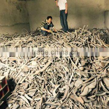 Gr1 Sheet Titanium Scrap Hot Sale photo-5