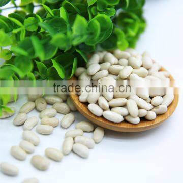 White Kidney Beans (Navy Type) photo-5