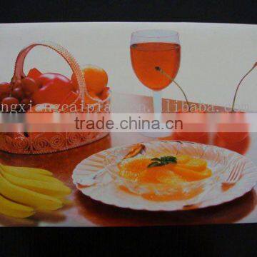 pp thin flexible placemat