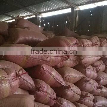 Loose Cocopeat (Qiu Qiu : 2598494113) photo-3