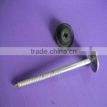 Umbrella Head Roofing Screw with Rubber Washer