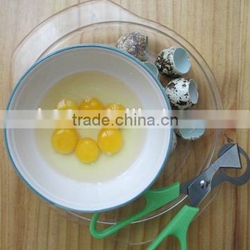 Kitchen Used Green Quail Egg Scissors Shell Cutter