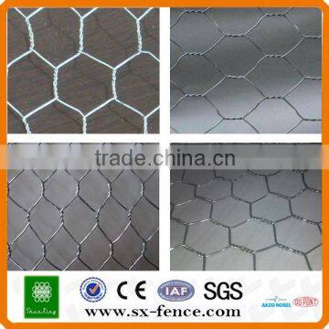 Galvanized\pvc coated chicken wire poultry mesh(ISO9001:2008 professional manufacturer)