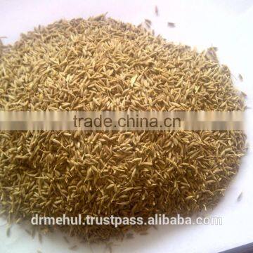 Cumin Seed Indian Origin photo-4