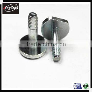 customized big head bolt /screw