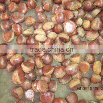 New Crop Chestnut 2015 photo-5