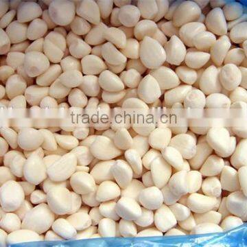 IQF peeled garlic for sale / frozen garlic for export