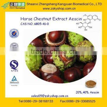 GMP Factory supply 100% Pure Natural Horse Chestnut P.E.