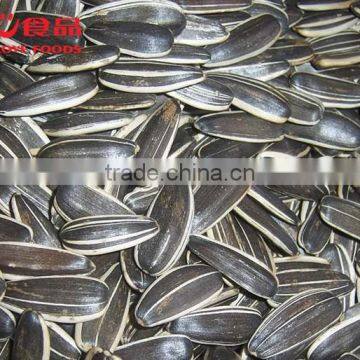 Factory Supply Best Price Sunflower Seeds