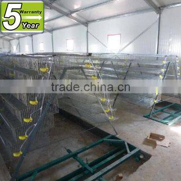 iron wire mesh quail cages