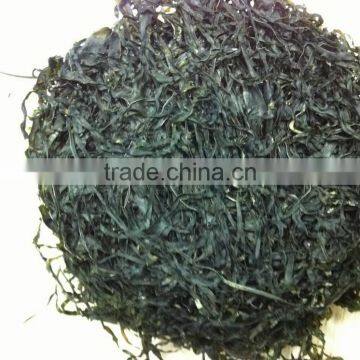 2016 New Corp of Air Dried and Frozen Dried Kelp/Laminaria Japonica Seaweed for Salad