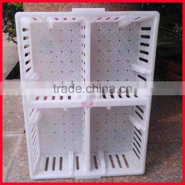 plastic chicken tranport stackable cage/box/crate for child chicken