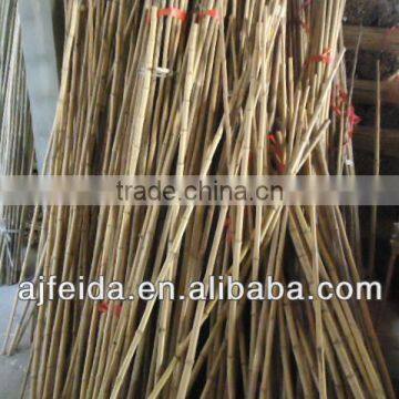 FD22bamboo pole for agriculture GB 4mm-180mm