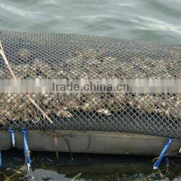 Hot Seal Oyster Mesh Bag Oyster Grown Bags in Canada Market