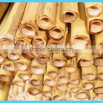 Wy-C166 Fresh Bamboo poles