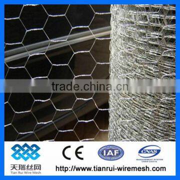 Galvanized hexagonal Chicken wire netting