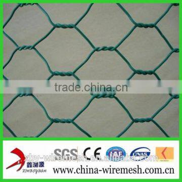 Poultry Netting / Galvanized Hexagonal Wire Mesh