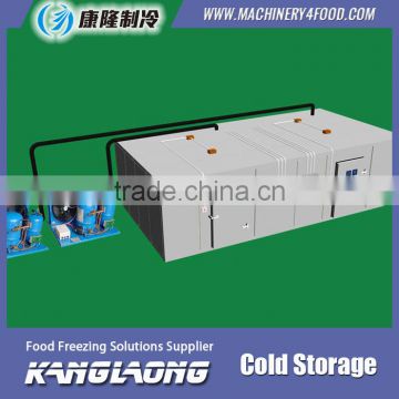 Good Quality New Technology Coldroom For Sale