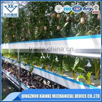 Reasonable Designed Glass/ PC/ Film Greenhouse with Hydroponic System