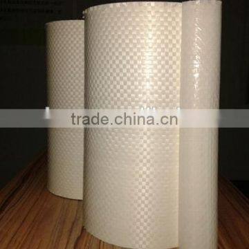 Mirror Woven Safety Backing Film photo-2