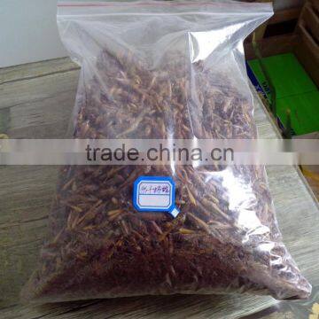 Pet Food Supplies Animal Feed Dried Grasshopper photo-3