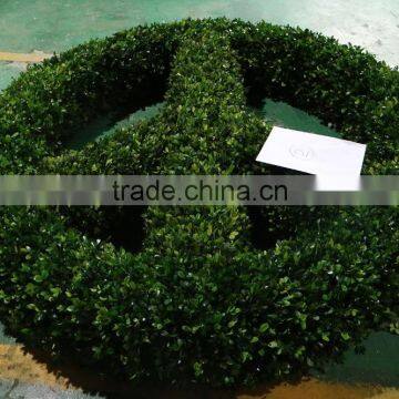 Preserved Boxwood Peace Wreath Topiary photo-2