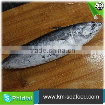 Carton or Woven Bag Packed Without Faure Marin Auxis Thazard wr photo-3