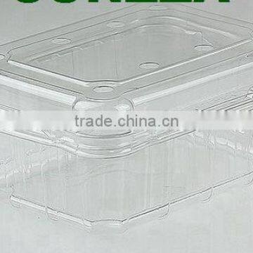 Disposable Packaging ;Vegetable Box ;Fruit Dish photo-4