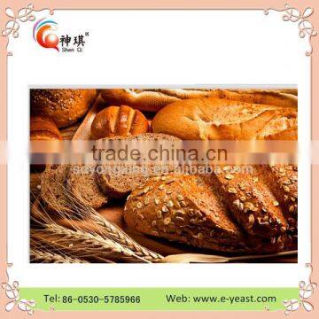 Fermentation Instant Yeast for Bread photo-3