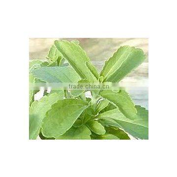 Stevia Leaf Extract photo-3