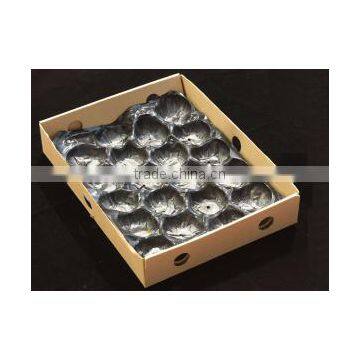 China Supply Cheap Plastic Fruit Tray photo-6