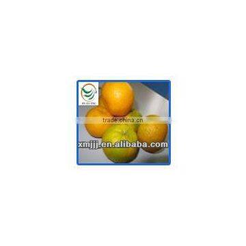 Wholesale Price Fresh Citrus Oranges photo-5