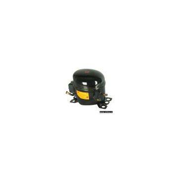 Compressor for Refrigerator