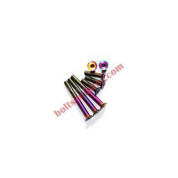 Titanium Torx Countersunk Screw