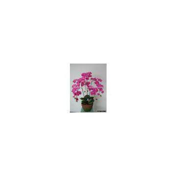 Artificial Plants