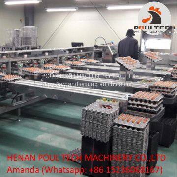 Chicken Farm Automatic Egg Grading Sorting Machine