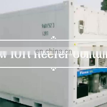 Steel and Aluminum Structure Carrier Cooling Units 10ft Reefer Container