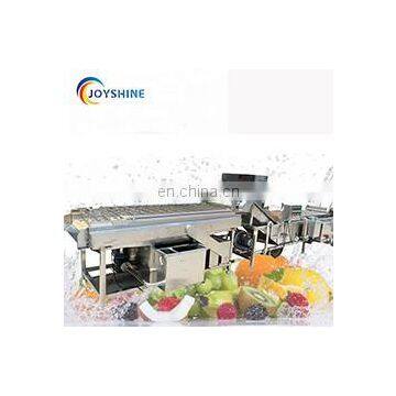 Commerical Automatic Leafy and Root Vegetable Chili Lettuce Spinach Carrot Cucumber Washing Machine photo-4