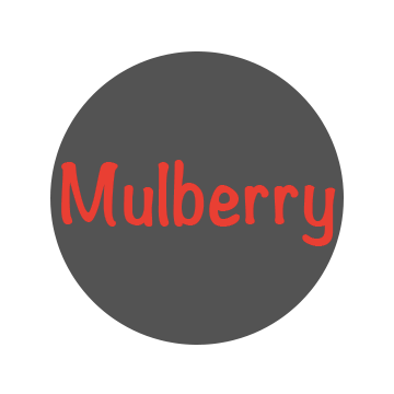 Mulberry Technology (Shenzhen) Co., Ltd.